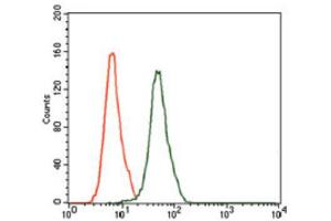 Flow Cytometry (FACS) image for anti-Mitogen-Activated Protein Kinase 8 (MAPK8) antibody (ABIN1845583)