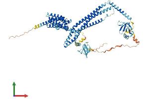 Protein Structure (PS) image for rho Guanine Nucleotide Exchange Factor (GEF) 37 (ARHGEF37) (AA 1-675) protein (His tag) (ABIN7552299)