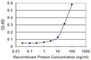 Detection limit for recombinant GST tagged AK1 is approximately 10ng/ml as a capture antibody. (Adenylate Kinase 1 抗体  (AA 1-194))