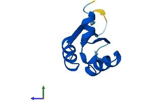 AlphaFold protein structure predicition of Mouse Recombinant Bola2 Protein, UniprotID Q8BGS2