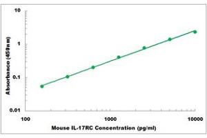 Representative Standard Curve (IL17RC ELISA 试剂盒)