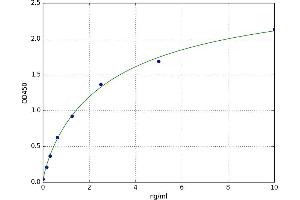 Keratin 18 (KRT18) ELISA Kit
