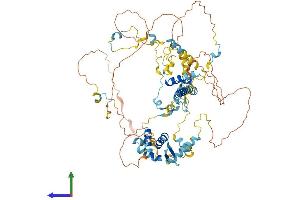 Protein Structure (PS) image for Non-SMC Condensin I Complex, Subunit H (NCAPH) (AA 1-741) protein (His tag) (ABIN7553509)