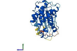 Protein Structure (PS) image for Cyclin-Dependent Kinase 2 (CDK2) (AA 1-298) protein (His tag) (ABIN7553271)