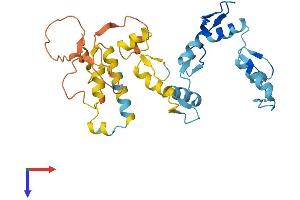 AlphaFold protein structure predicition of Human Recombinant ZNF705G Protein, UniprotID A8MUZ8