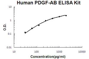 Human PDGF-AB Accusignal ELISA Kit Human PDGF-AB AccuSignal ELISA Kit standard curve. (PDGF-AB Heterodimer ELISA 试剂盒)