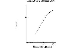 Stanniocalcin 2 ELISA 试剂盒