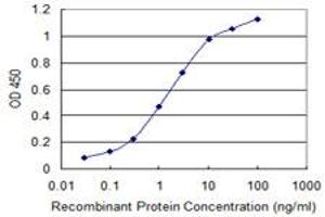 Detection limit for recombinant GST tagged CNN1 is 0. (CNN1 抗体  (AA 1-297))