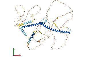 AlphaFold protein structure predicition of Human Recombinant TFE3 Protein, UniprotID P19532