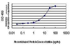 Detection limit for recombinant GST tagged IRX3 is approximately 0. (IRX3 抗体  (AA 182-285))