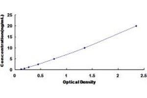 Typical standard curve (GRIN2D ELISA 试剂盒)