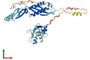 Protein Structure (PS) image for Stomatin (EPB72)-Like 1 (STOML1) (AA 1-399) protein (His tag) (ABIN7559365)