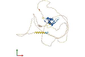 Protein Structure (PS) image for Forkhead Box A1 (FOXA1) (AA 1-472) protein (His tag) (ABIN7553934)