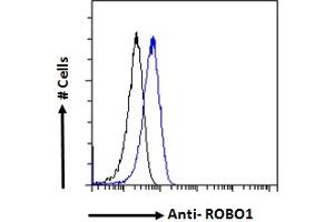 Flow Cytometry (FACS) image for anti-Roundabout, Axon Guidance Receptor, Homolog 1 (ROBO1) (Internal Region) antibody (ABIN185537)