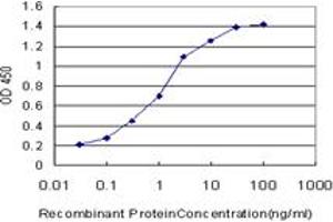 ELISA image for anti-Membrane Associated Guanylate Kinase, WW and PDZ Domain Containing 2 (MAGI2) (AA 519-628) antibody (ABIN564246)