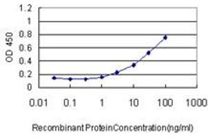 Detection limit for recombinant GST tagged ACO1 is approximately 0. (Aconitase 1 抗体  (AA 780-889))