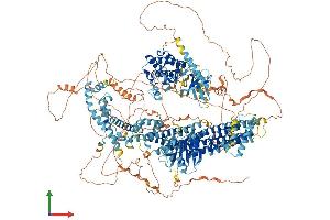 Protein Structure (PS) image for Mitogen-Activated Protein Kinase Kinase Kinase 4 (MAP3K4) (AA 1-1597) protein (His tag) (ABIN7562185)