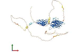 Protein Structure (PS) image for V-Rel Reticuloendotheliosis Viral Oncogene Homolog B (RELB) (AA 1-558) protein (His tag) (ABIN7563595)