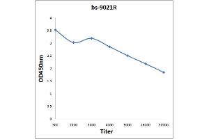 Antigen: 0. (IQCJ 抗体  (AA 47-67))