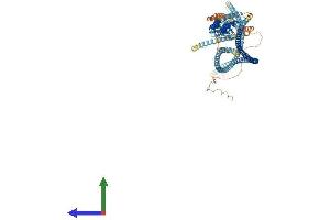 AlphaFold protein structure predicition of Human Recombinant ANKRD18A Protein, UniprotID Q8IVF6 (ANKRD18A Protein (AA 1-992) (His tag))
