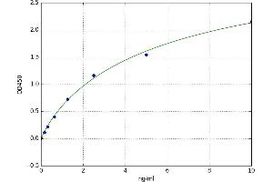 A typical standard curve