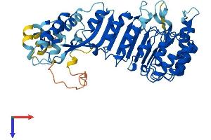 AlphaFold protein structure predicition of Human Recombinant PRAMEF8 Protein, UniprotID Q5VWM4