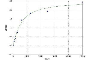 A typical standard curve