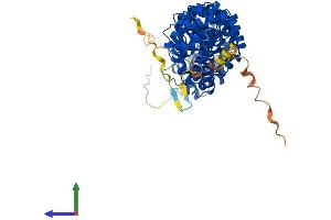 Protein Structure (PS) image for Karyopherin alpha 6 (Importin alpha 7) (KPNA6) (AA 1-536) protein (His tag) (ABIN7554189)