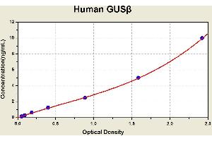 Glucuronidase, beta (GUSB) ELISA Kit