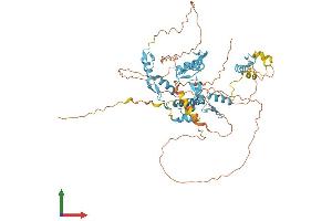 Protein Structure (PS) image for Zinc Finger Protein 8 (ZNF8) (AA 1-575) protein (His tag) (ABIN7545416)