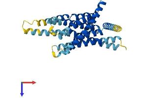 AlphaFold protein structure predicition of Human Recombinant TAS2R30 Protein, UniprotID P59541