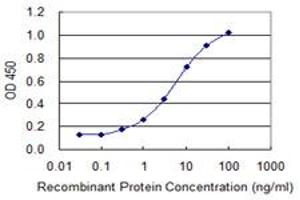 ELISA image for anti-Cylicin, Basic Protein of Sperm Head Cytoskeleton 1 (CYLC1) (AA 526-625) antibody (ABIN514810)