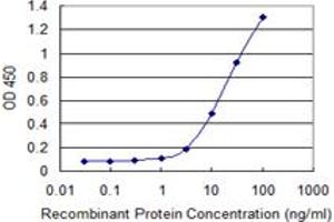 Detection limit for recombinant GST tagged EOMES is 1 ng/ml as a capture antibody. (EOMES 抗体  (AA 461-569))