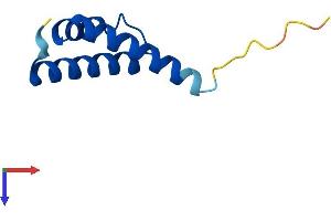 AlphaFold protein structure predicition of Mouse Recombinant Coa6 Protein, UniprotID Q8BGD8