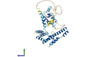 AlphaFold protein structure predicition of Human Recombinant DNAJB14 Protein, UniprotID Q8TBM8
