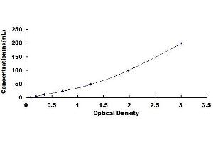 Typical standard curve (S100 Ab ELISA 试剂盒)