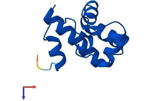 Banf2 Protein (AA 1-90) (His tag)