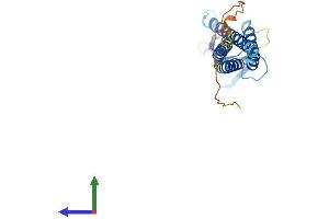 Protein Structure (PS) image for Claudin 10 (CLDN10) (AA 1-231) protein (His tag) (ABIN7556355)