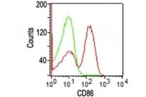 Image no. 1 for anti-CD86 (CD86) antibody (ABIN6185431)