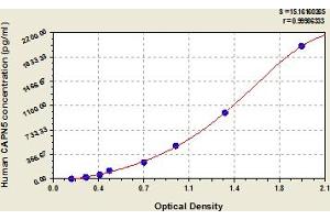 Typical Standard Curve (Calpain 5 ELISA 试剂盒)