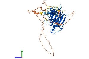 Protein Structure (PS) image for SMAD, Mothers Against DPP Homolog 7 (SMAD7) (AA 1-426) protein (His tag) (ABIN7555498)