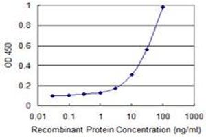 Detection limit for recombinant GST tagged CXCL1 is 1 ng/ml as a capture antibody. (CXCL1 抗体  (AA 1-107))