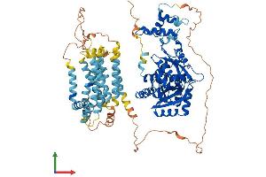 Protein Structure (PS) image for 3-Hydroxy-3-Methylglutaryl-CoA Reductase (HMGCR) (AA 1-887) protein (His tag) (ABIN7563576)