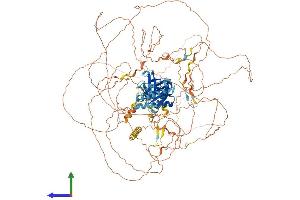 AlphaFold protein structure predicition of Mouse Recombinant Irs4 Protein, UniprotID Q9Z0Y7