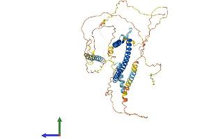 Protein Structure (PS) image for Microphthalmia-Associated Transcription Factor (MITF) (AA 1-526) protein (His tag) (ABIN7554603)