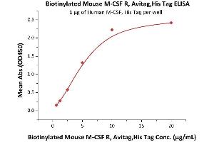 ELISA image for Colony Stimulating Factor 1 Receptor (CSF1R) (AA 20-511) (Active) protein (His tag,AVI tag,Biotin) (ABIN5674611)