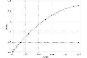 Chemokine (C-C Motif) Ligand 23 (CCL23) ELISA Kit