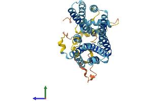 Protein Structure (PS) image for Solute Carrier Family 22 (Organic Cation Transporter), Member 17 (SLC22A17) (AA 1-401) protein (His tag) (ABIN7561166)