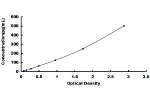 Typical standard curve