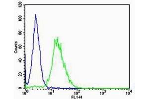 Flow Cytometry (FACS) image for anti-Casein Kinase 1, gamma 3 (CSNK1G3) (AA 333-361), (C-Term) antibody (ABIN657833)